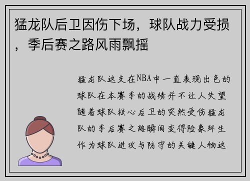 猛龙队后卫因伤下场，球队战力受损，季后赛之路风雨飘摇